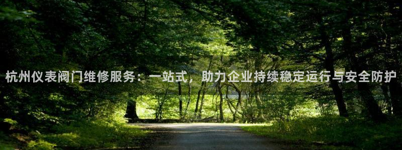 云顶国际服s10