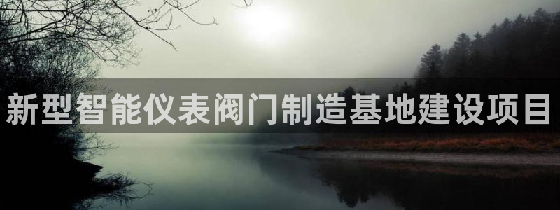 云顶集团有限公司简介概况
