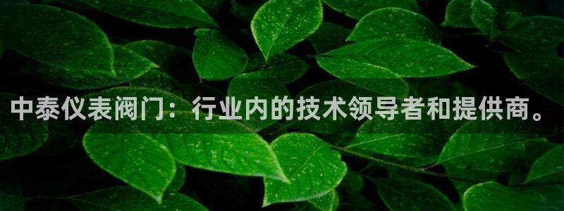 云顶国际婚礼大酒店位于哪里的