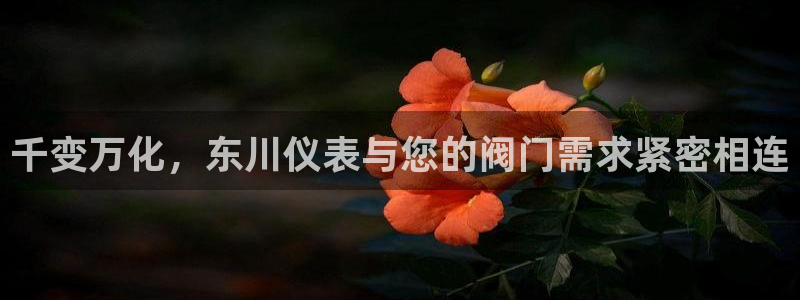 云顶国际网上平台