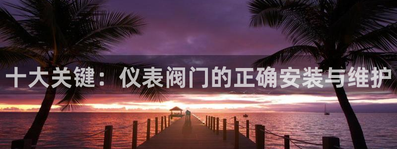 云顶国际服名字不可用