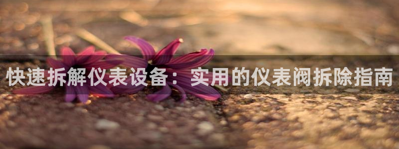 国际服端游云顶在哪下载