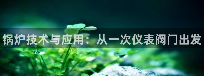 云顶国际体育官方网站下载