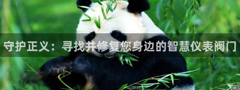 云顶t00