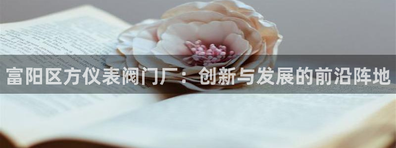 云顶集团官网登录入口网页版