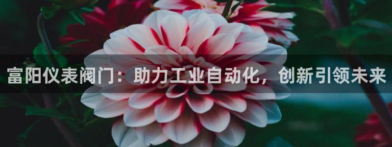 云顶国际网站可靠吗