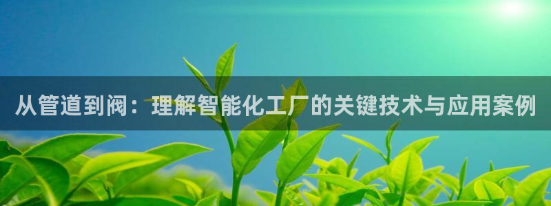 云顶国际app免费下载安装