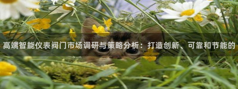 云顶国际商业广场a座101室