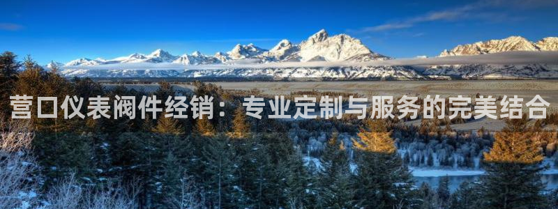 云顶国际服什么时候更新s8