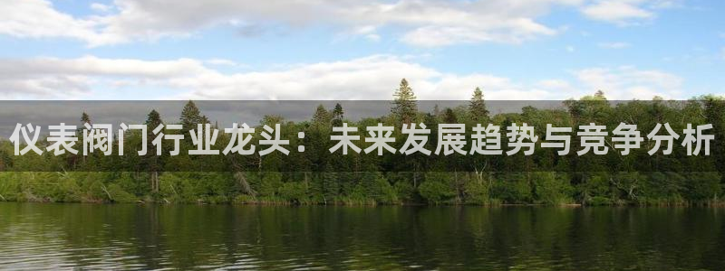 云顶集团老总