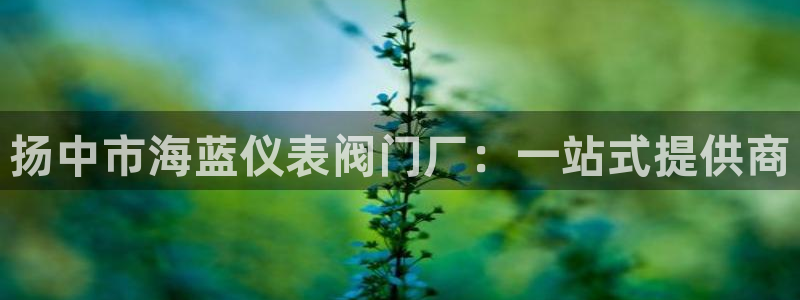 登录云顶集团怎么登录