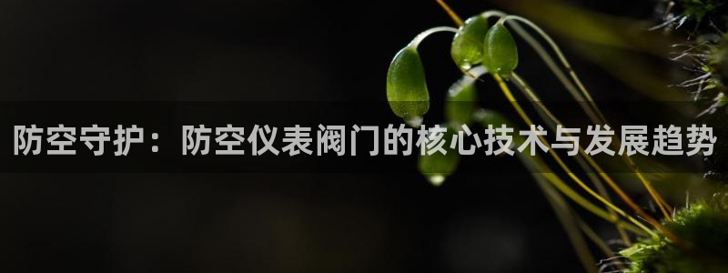 云顶国际是正规平台吗