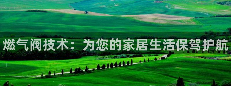 云顶国际在线购彩怎么买