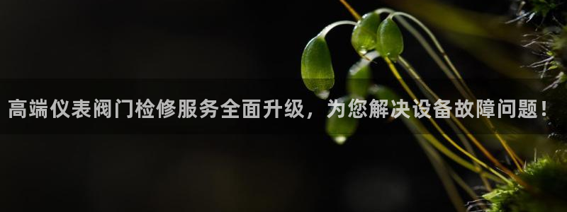 云顶国际滑雪场