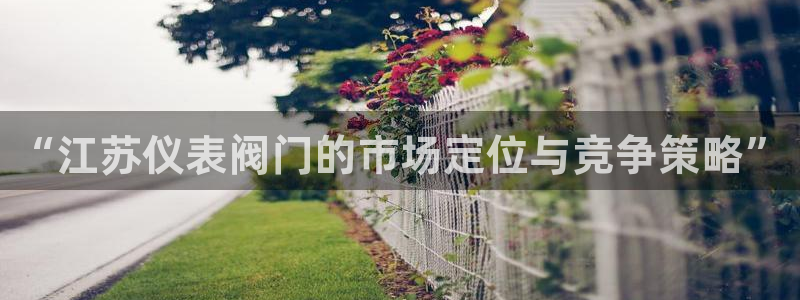 云顶国际集团io