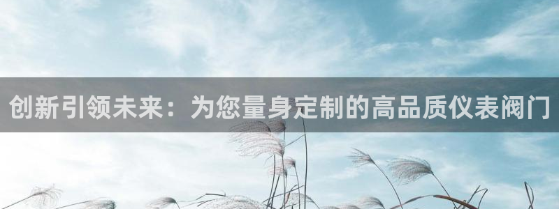 云顶国际服名字不可用