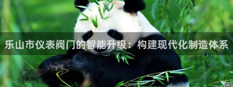 云顶国际要怎么注册