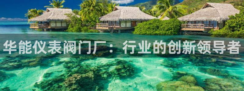 云顶国际酒店老板简介