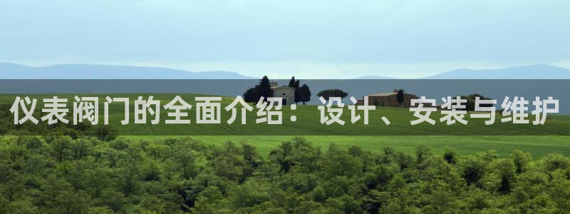 yd2333云顶电子游戏网址多少呢?