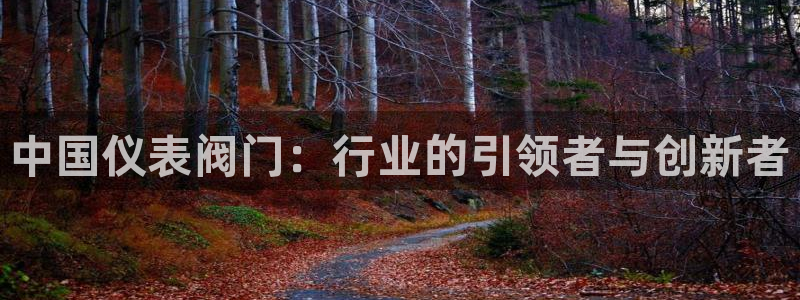 云顶国际怎么样