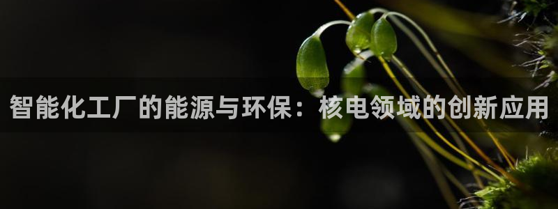 云顶国际大酒店电话