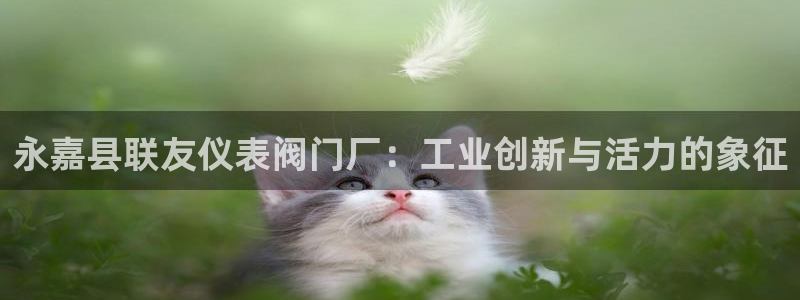 云顶国际二手房出售价格