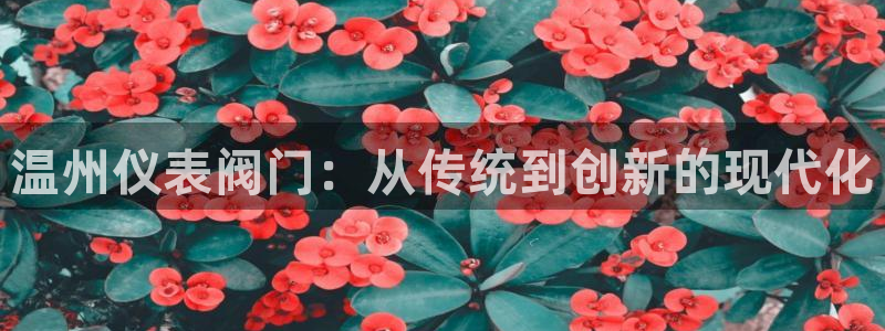 云顶国际培训中心