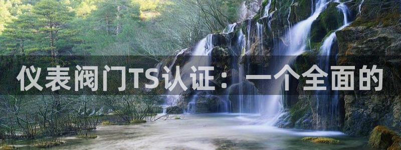 云顶电子游戏平台