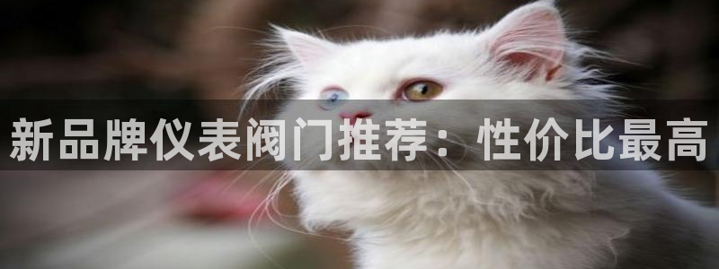 云顶国际酒店位置图