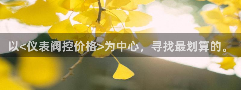 云顶控股集团有限公司