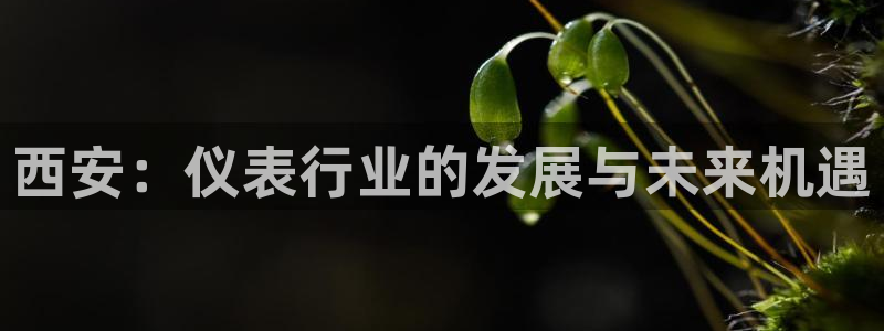 云顶国际是什么充值安全吗