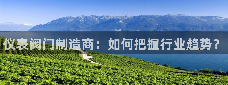 云顶国际软装公司怎么样啊