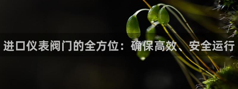 云顶集团在哪上市