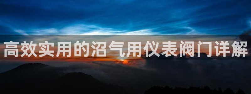 云顶国际物流有限公司