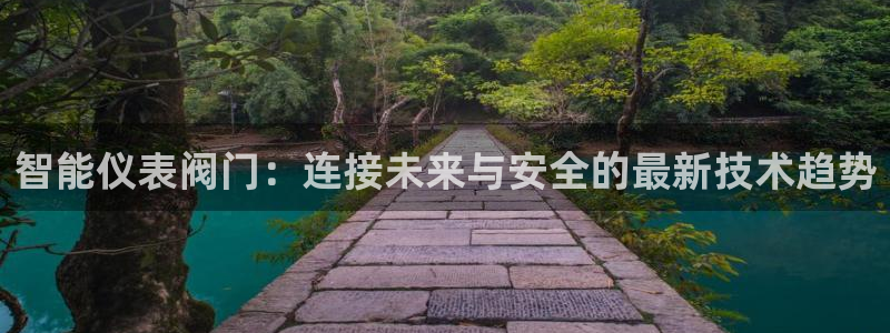 云顶集团有限公司简介地址