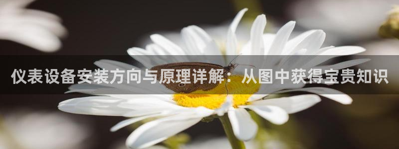 云顶国际高中学费多少钱一年