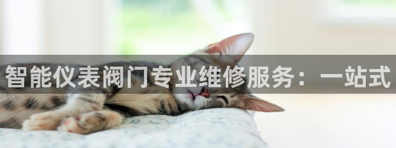 云顶网站是多少