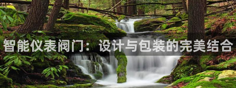 云顶国际版下载