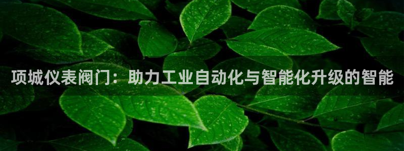 云顶集团gentinggroup