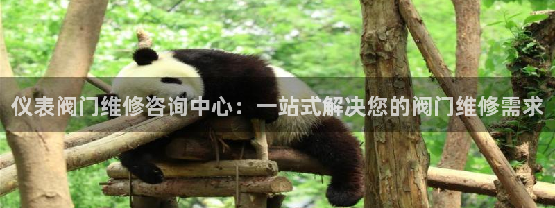 云顶电子游戏平台