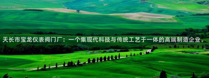 云顶集团网站多少钱一个