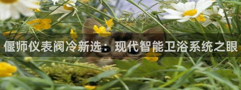 云顶集团董事长是谁