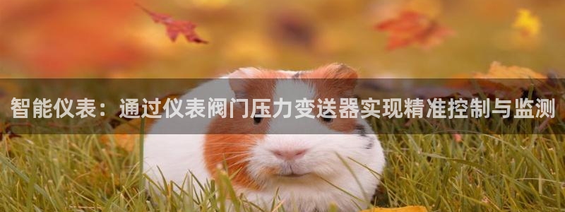 云顶国际装饰设计