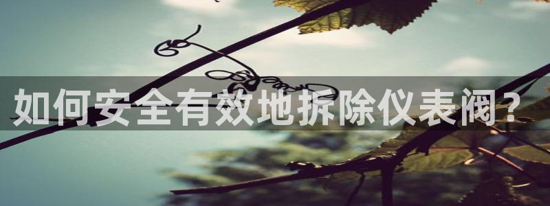 云顶集团老总子女