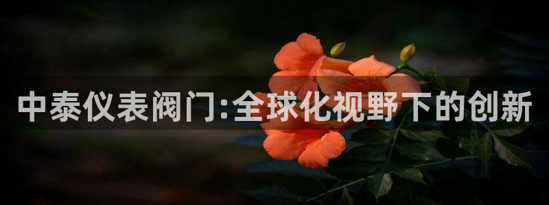 云顶国际服怎么登录